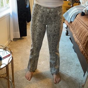 Mid rise crop mini boot cut snake skin Lucky Brand pants